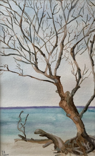 boom aan strand | Jeannette Ruijgrok