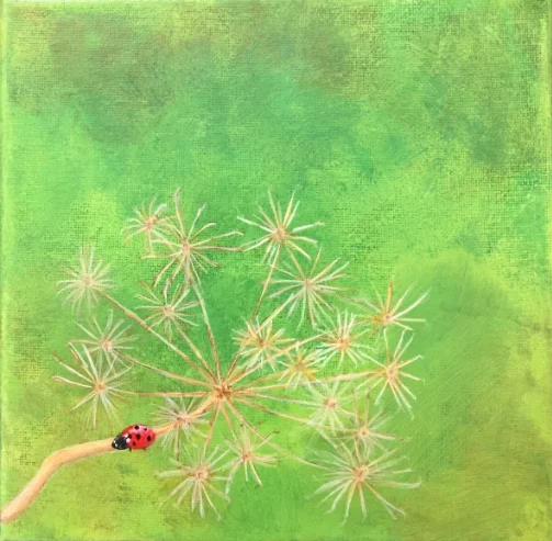 Dille | Jeannette Ruijgrok