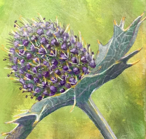 Distel | Jeannette Ruijgrok