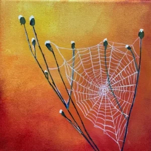 spinnenweb | Jeannette Ruijgrok