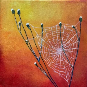 Spinnenweb | Jeannette Ruijgrok