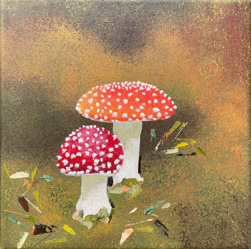 Paddestoelen | Jeannette Ruijgrok