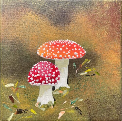 paddenstoelen | Jeannette Ruijgrok
