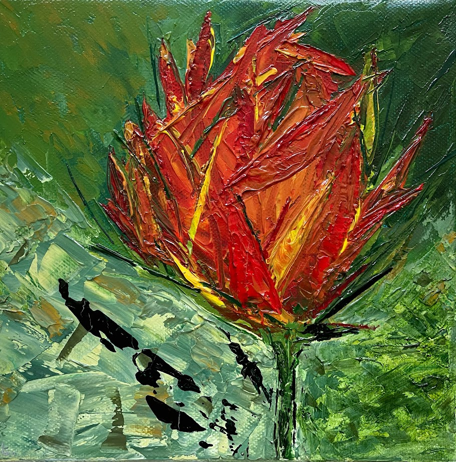 tulp2